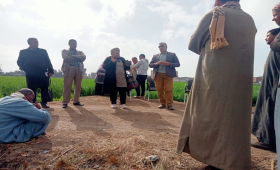 الفريق الإرشادي الريفي بكفر الشيخ يقدم حزمة توصيات للقمح والبصل