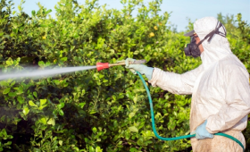 زراعة الإسكندرية تنظم دورة تدريبية جديدة لـ مطبقي المبيدات 