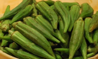 زراعة البامية
