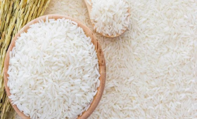 توقعات بانخفاض أسعار الأرز خلال أيام 