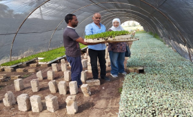 زراعة الإسكندرية تتابع صوب الخضر بمنطقة النهضة 