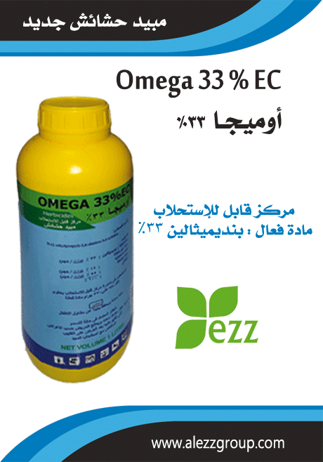 عز جروب 1/12