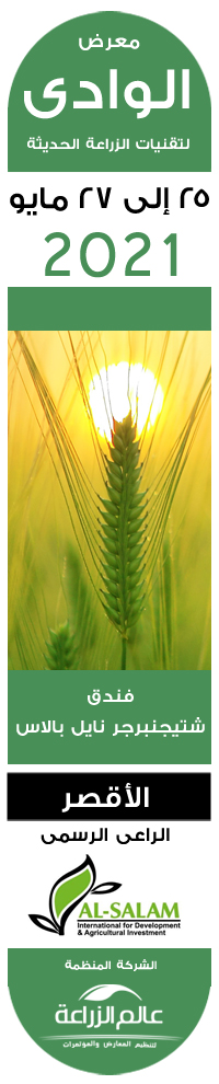 الوادى 2021 طولى