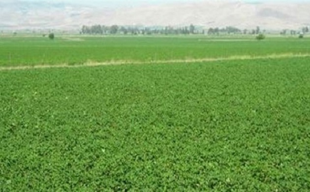 اضافة العناصر السمادية لتحقيق افضلية لتغذية النباتات