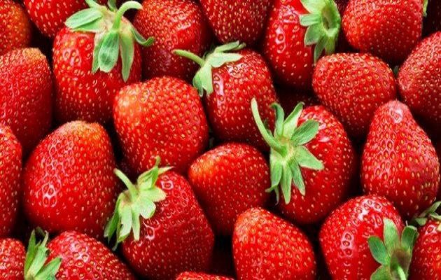 محصول الفراولة -الأصناف الشائعة وأهم العمليات الزر