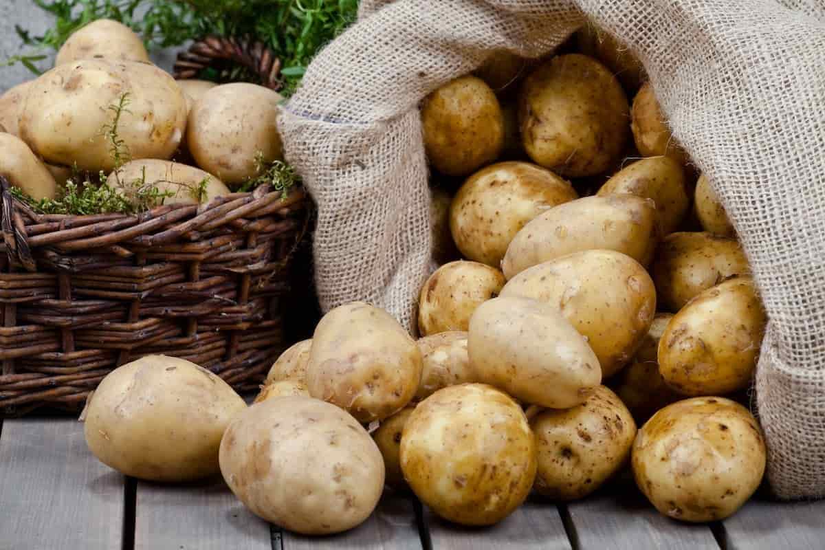 سلامة الغذاء: البطاطس احتلت المركز الأول في قائمة الصادرات الزراعية هذا الأسبوع
