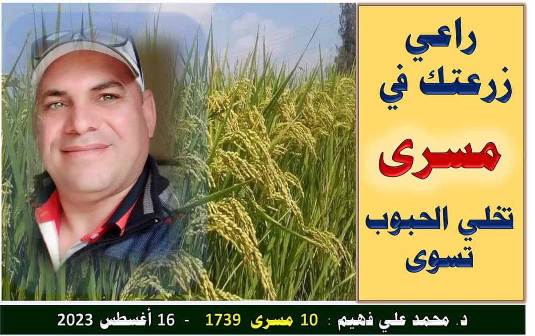 مستشار وزير الزراعة يقدم حزمة توصيات لأهم فترة في عمر المحاصيل 