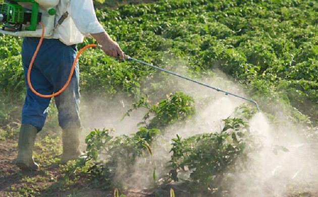 دراسة بريطانية: استخدام المبيدات الكيماوية يجب أن يقل للنصف بحلول 2030