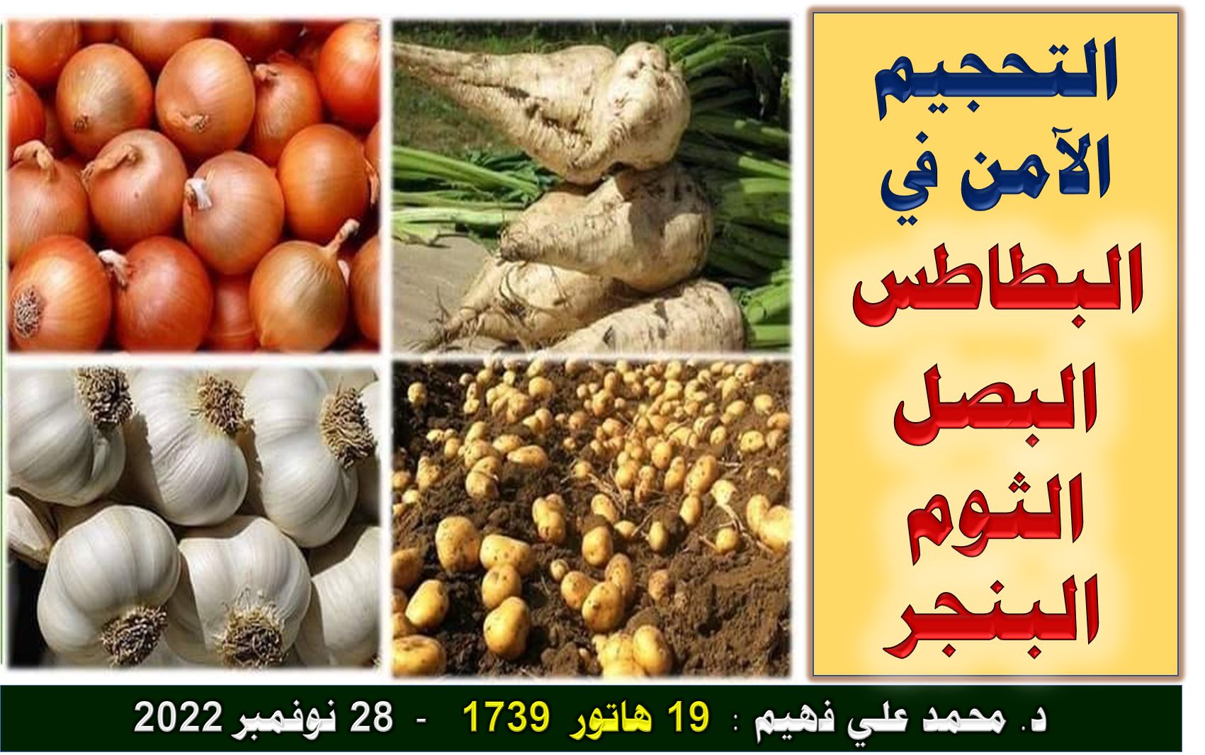 البصل والثوم والبطاطس والبنجر.. حزمة نصائح بشأن التحجيم