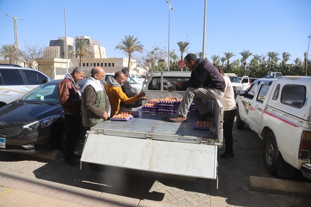 الزراعة تطلق منافذ متنقلة لبيع الدواجن والبيض للعاملين بالعاصمة الجديدة 