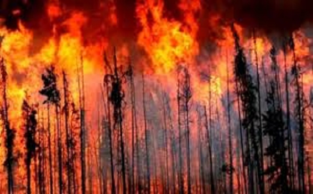  حرق الغابات على المتبقيات الزراعية