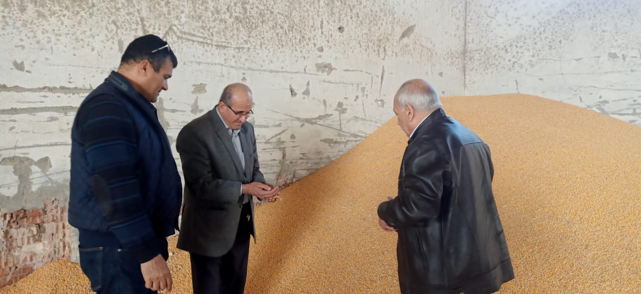 جولة تفقدية