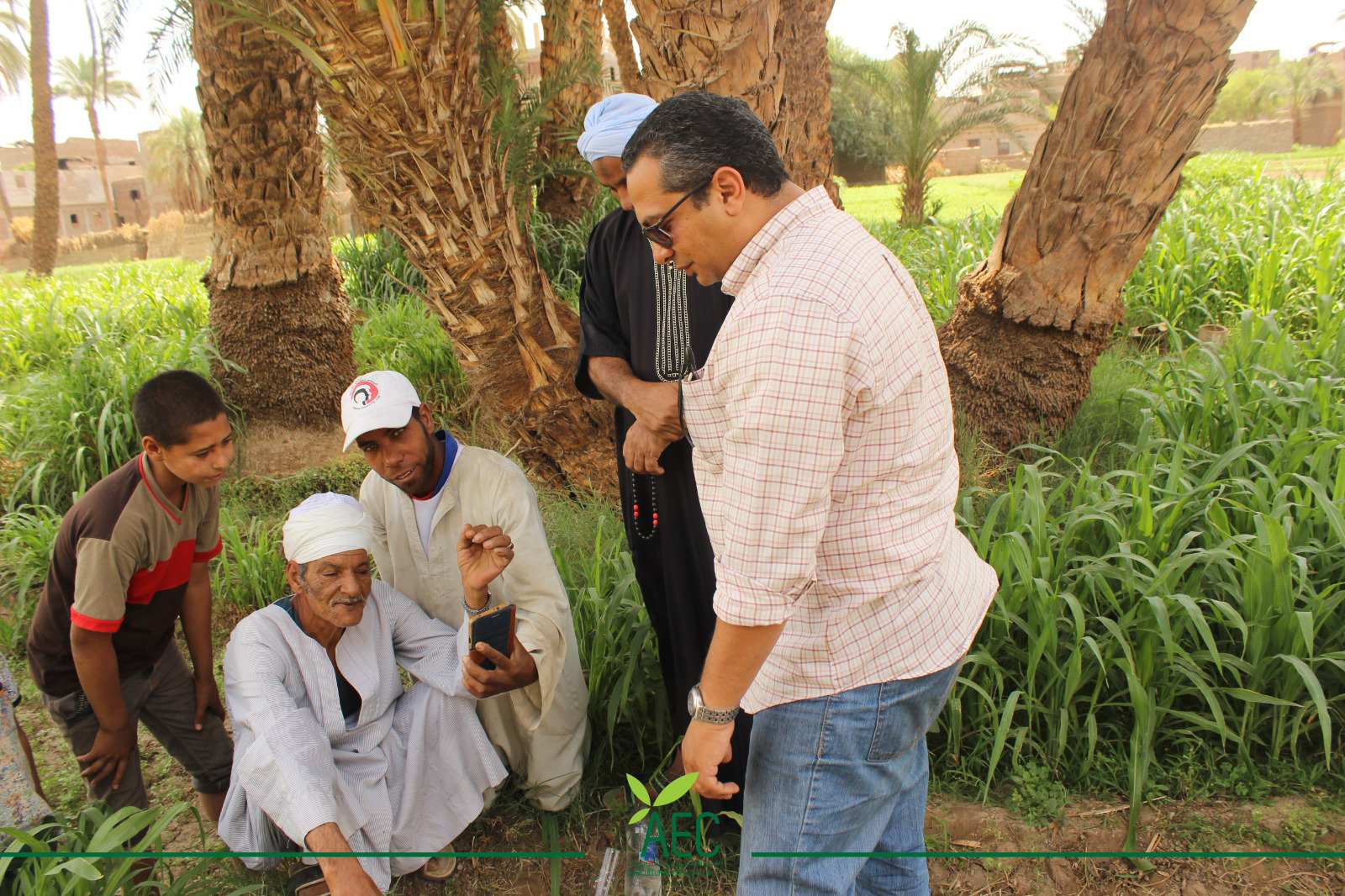 مكافحة آفات النخيل في تدريب لـ تصديري الحاصلات والزراعة بأسوان 