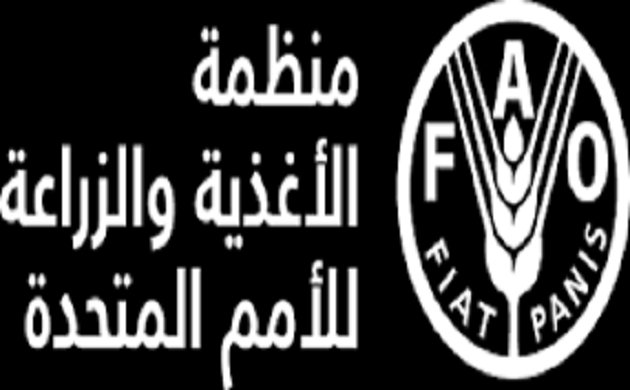 تقرير للفاو : ارتفاع عدد الجياع فى العالم لعشرات الملايين