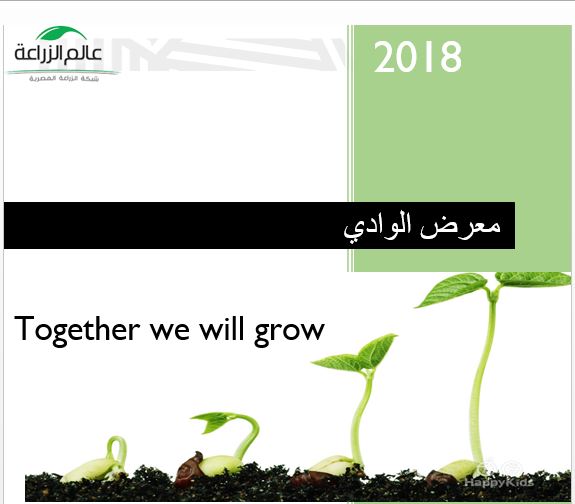 معرض الوادي بالأقصر 2018